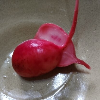 箸休めに頂きました。
暑くなる季節にピッタリですね。
ご馳走さまでした。